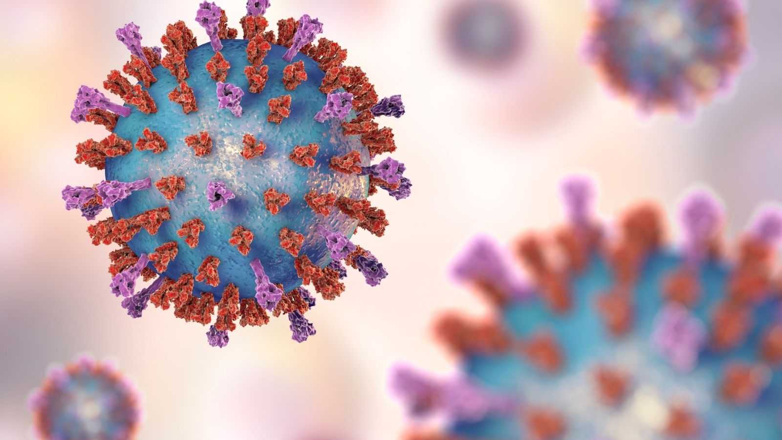 Virus visualization