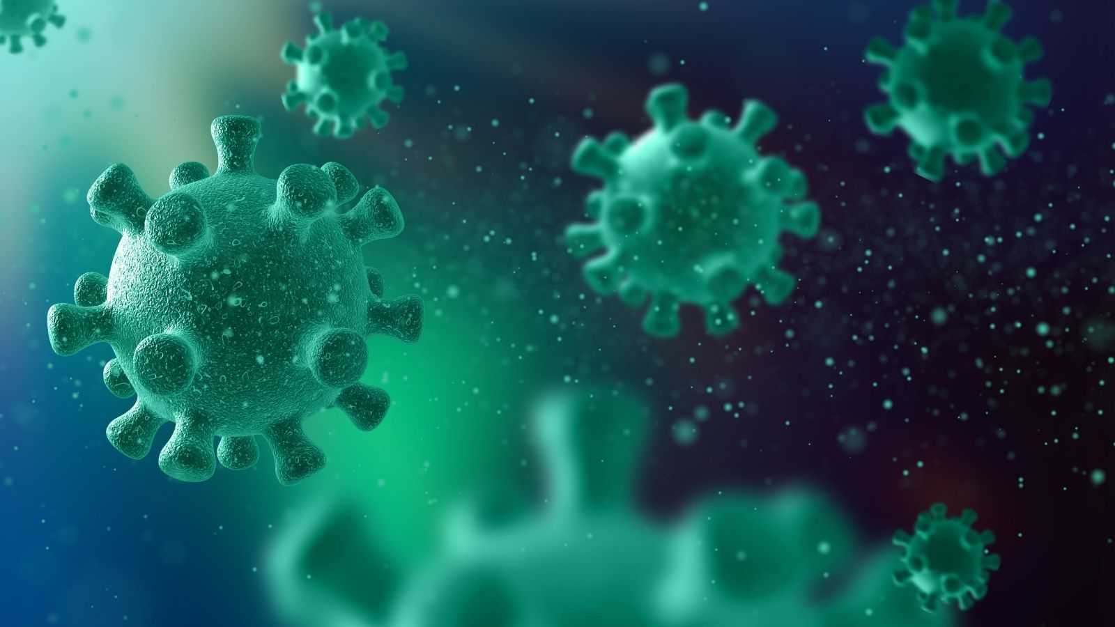 Close-up on viruses