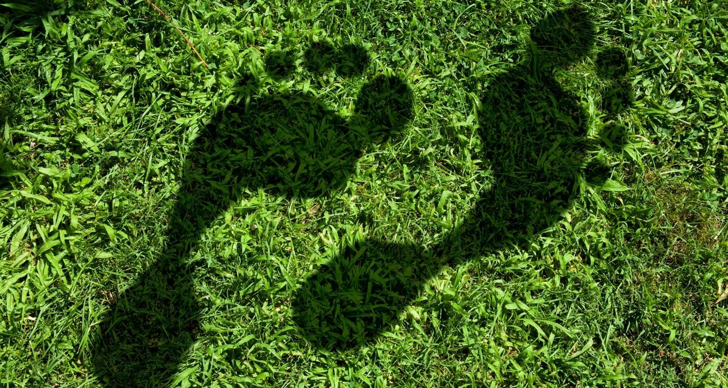 Season 3, Post 15: Greener spending