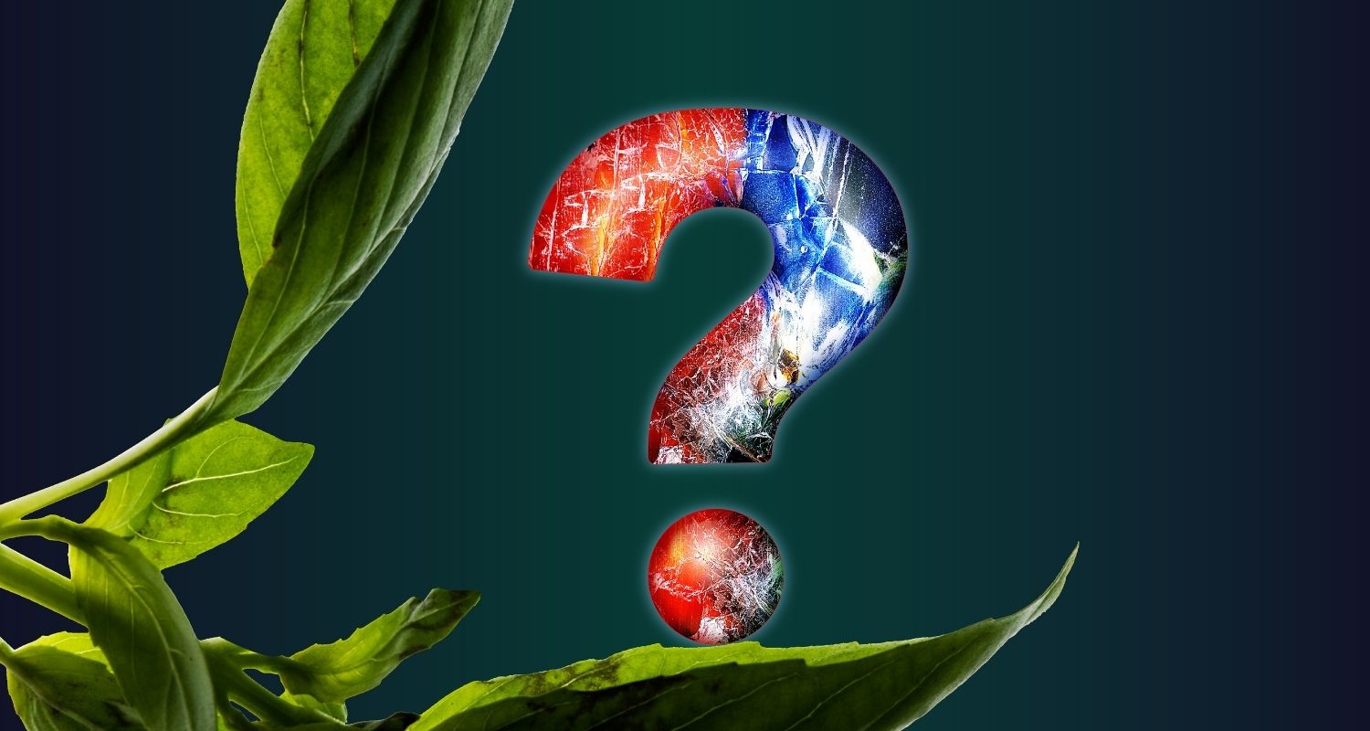 Season 3, Post 29: Quiz time