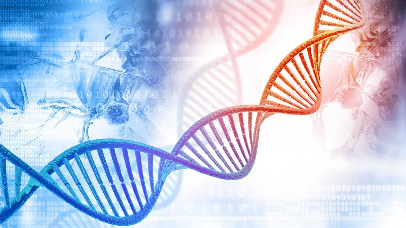 CRISPR: Time for a DNA upgrade?